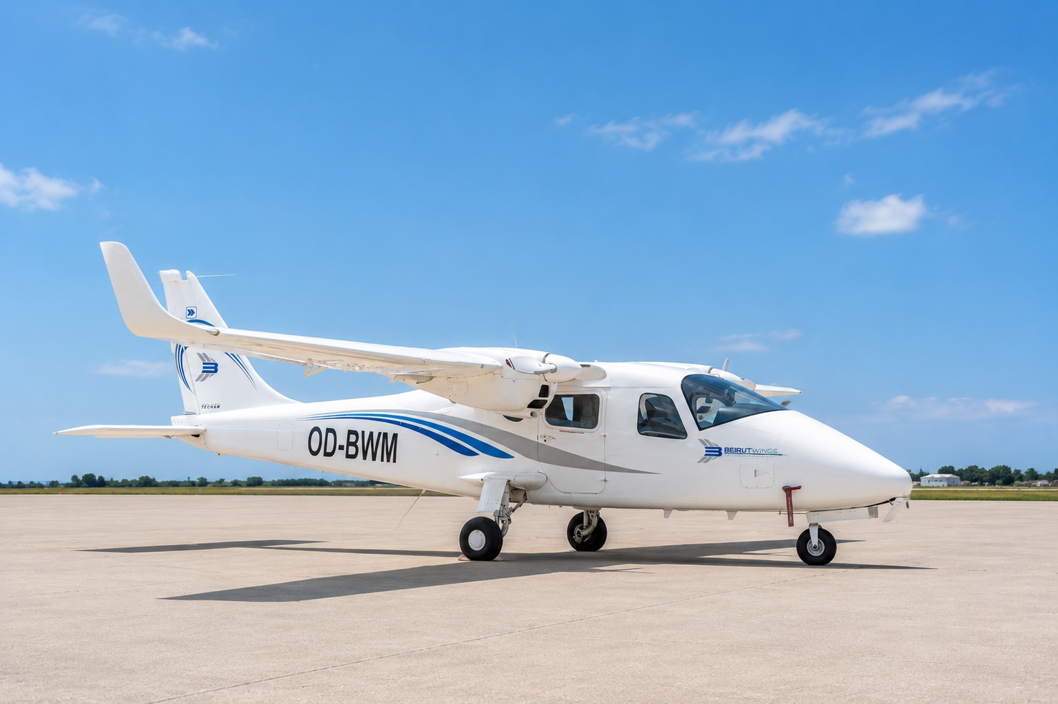 OD-BWM